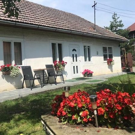 Casuta Sanatatii Hotel Kovászna Kültér fotó