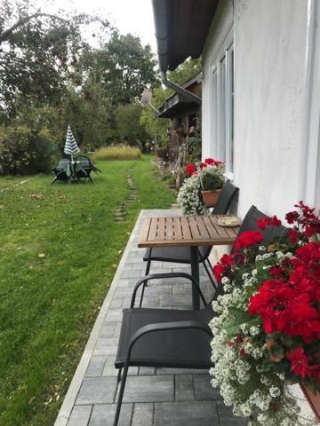 Casuta Sanatatii Hotel Kovászna Kültér fotó