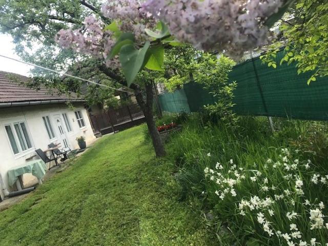 Casuta Sanatatii Hotel Kovászna Kültér fotó