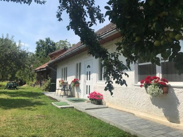 Casuta Sanatatii Hotel Kovászna Kültér fotó